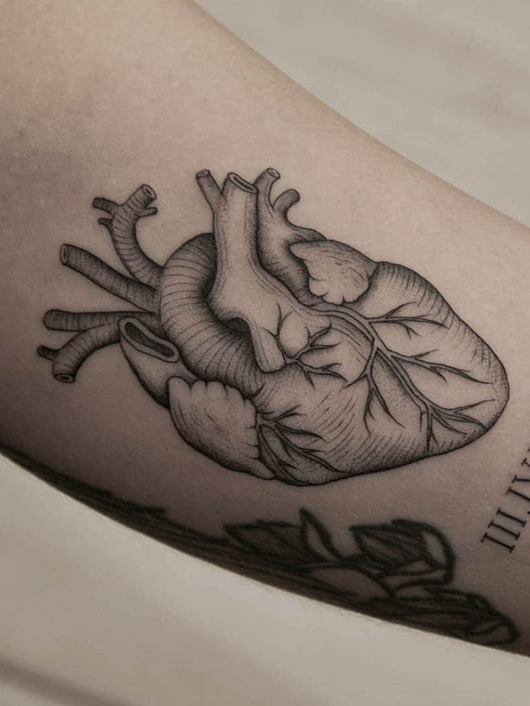 tatuaje de corazón anatómico de linea fina