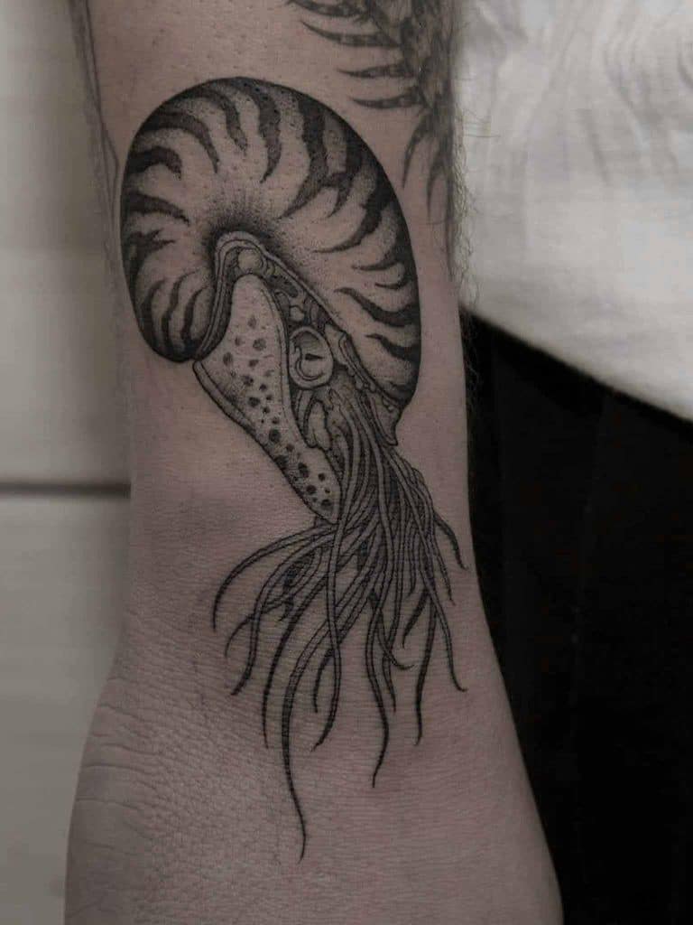 tatuaje de nautilus fine line